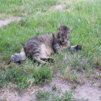 images/TierfreundAnja/current (9).jpeg